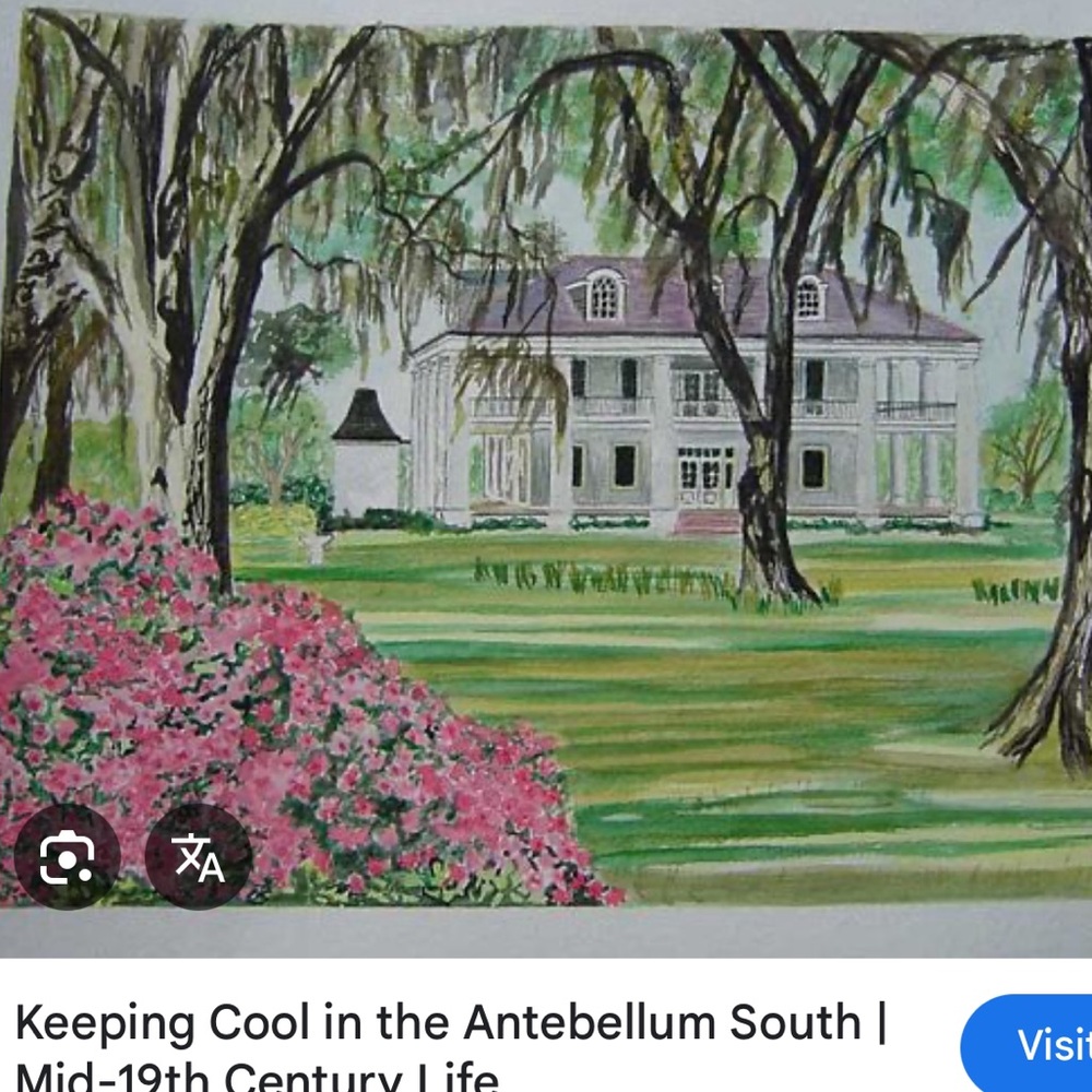 Vintage PLANTation style wallpaper./Mural.  GONE WITH THE WIND. REMINISCENT